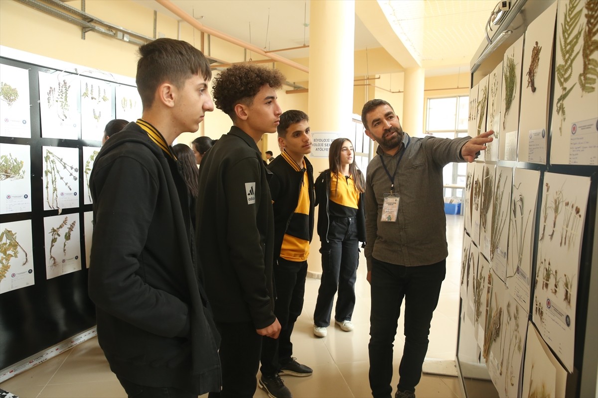 Hakkari'de Bilim Şenliği Öğrencileri Buluşturdu