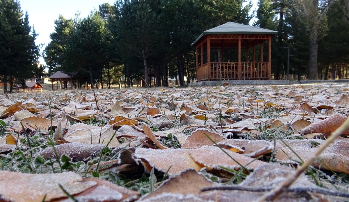 Kars'ta Soğuk Hava ve Kırağı Etkili Olmaya Devam Ediyor