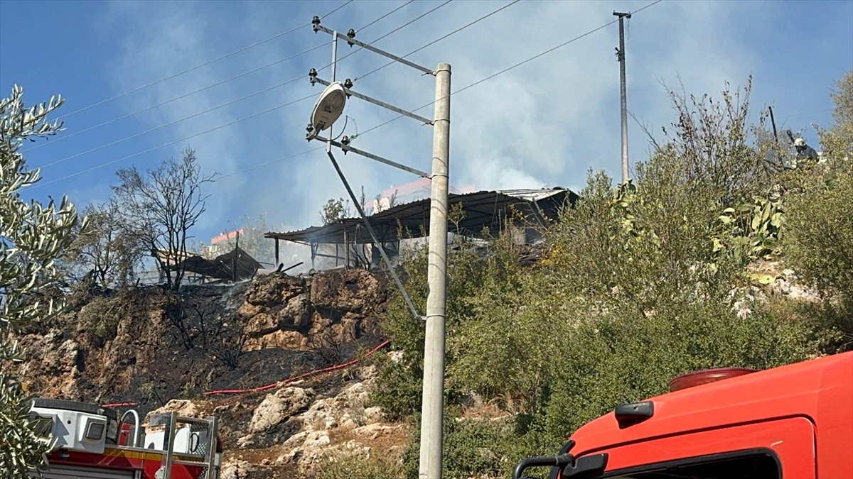 Antalya'daki Ağılda Yangın: 50 Küçükbaş Hayvan Telef Oldu