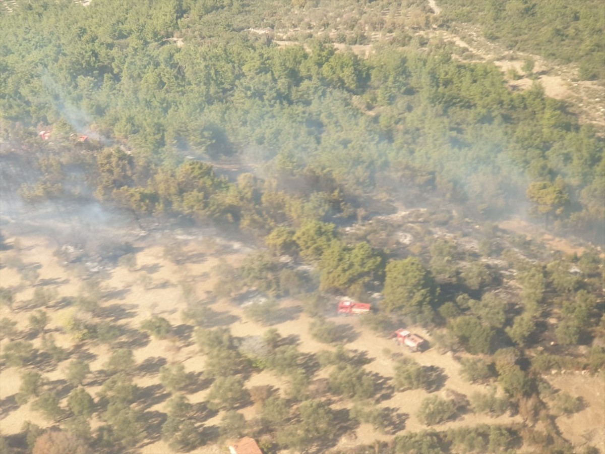 İzmir Kınık'ta Tarım Arazisinden Ormana Sıçrayan Yangın Kontrol Altına Alındı