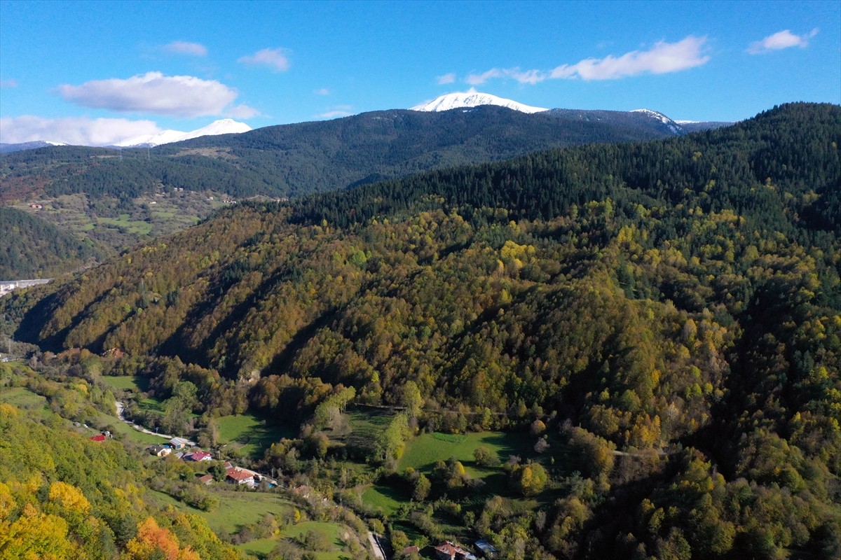 Ilgaz Dağı'nda Kış ve Sonbahar Büyüsü