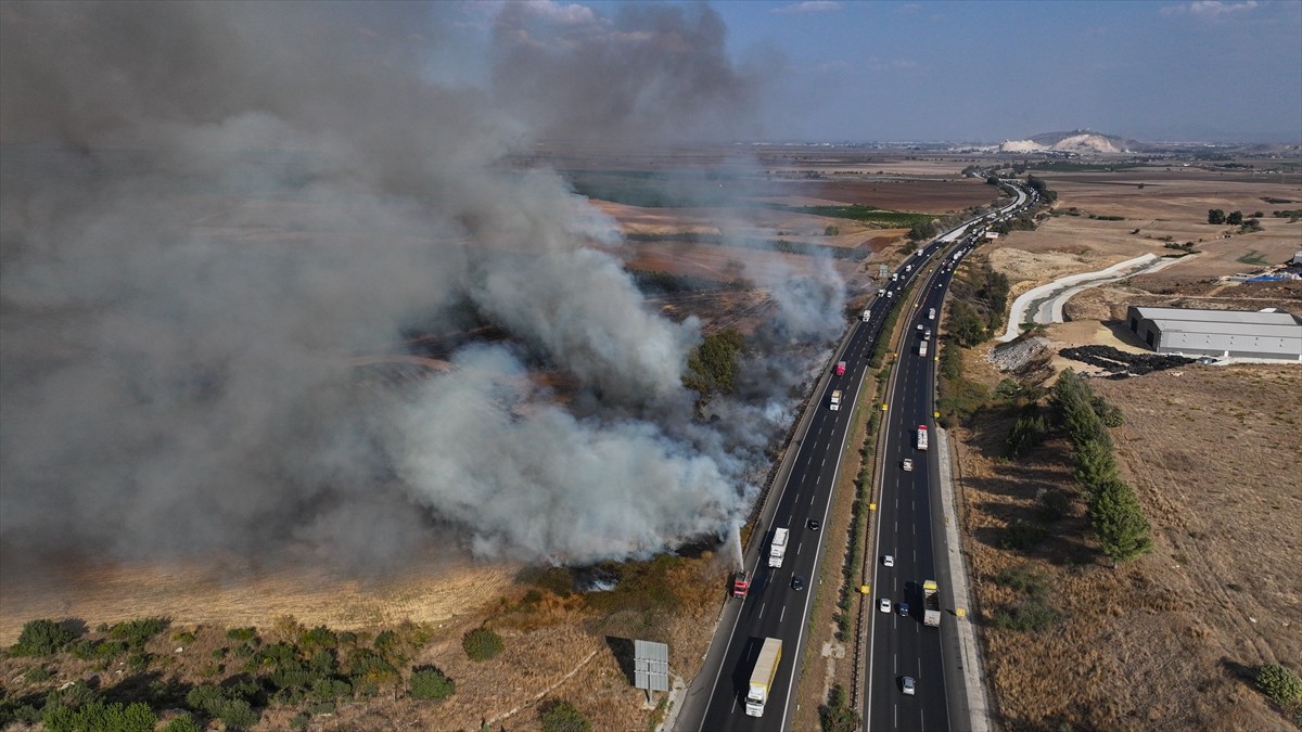 Adana'da Otoyol Kenarında Çıkan Yangın Kontrol Altına Alındı