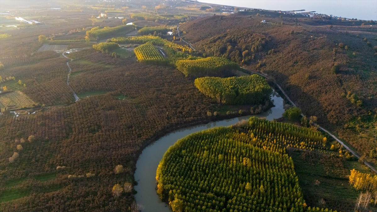 Melen Çayı Havzası Sonbaharın Güzellikleriyle Bezeniyor