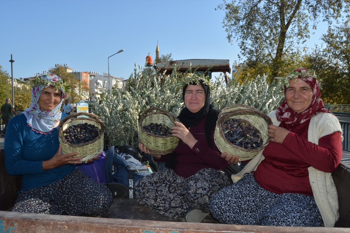 Manavgat'ta Zeytin ve Zeytinyağı Festivali Coşkuyla Başladı