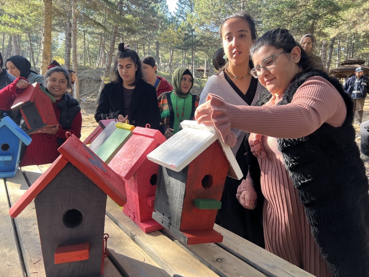 Çorum'da Engelli Öğrencilerin Boyadığı Kuş Evleri Tabiat Parkı'na Yerleştirildi