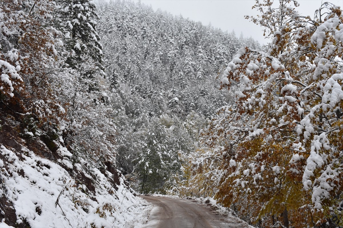 Artvin'de Kar Dolayısıyla Ulaşım Kesildi