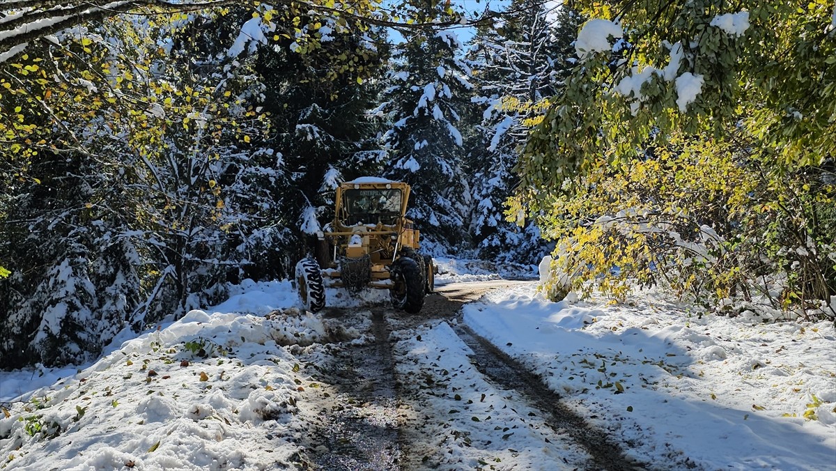 Artvin'de 38 Köy Yolu Kapandı: Kar Yağışı Etkisi Devam Ediyor