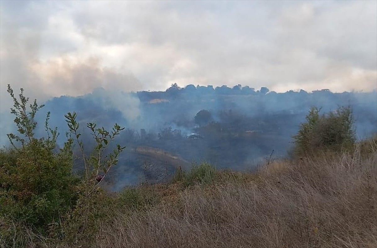 Çanakkale Biga'da Orman Yangınına Müdahale Başladı