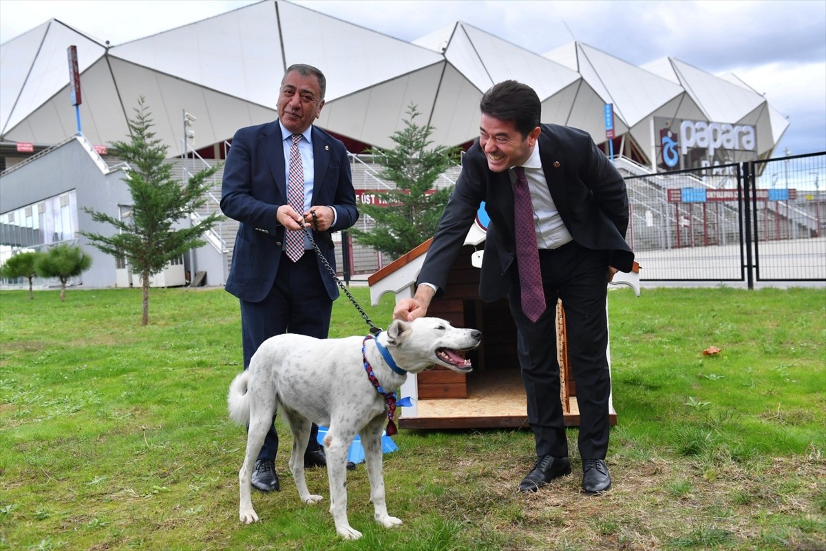 Trabzonspor Kulübü, Maç Öncesi Sahaya Giren Köpeği Sahiplendi