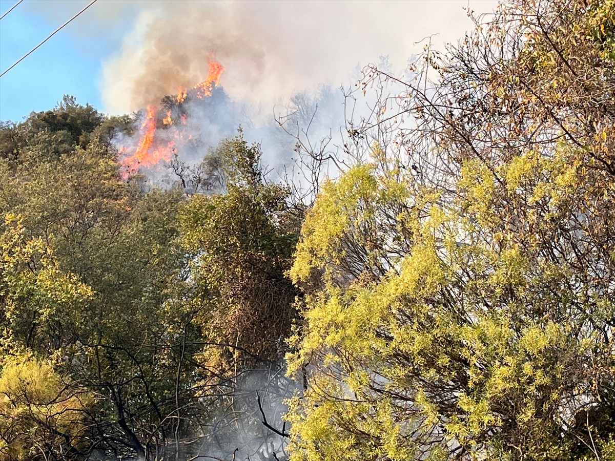 Antalya Kumluca'da Orman Yangınına Müdahale