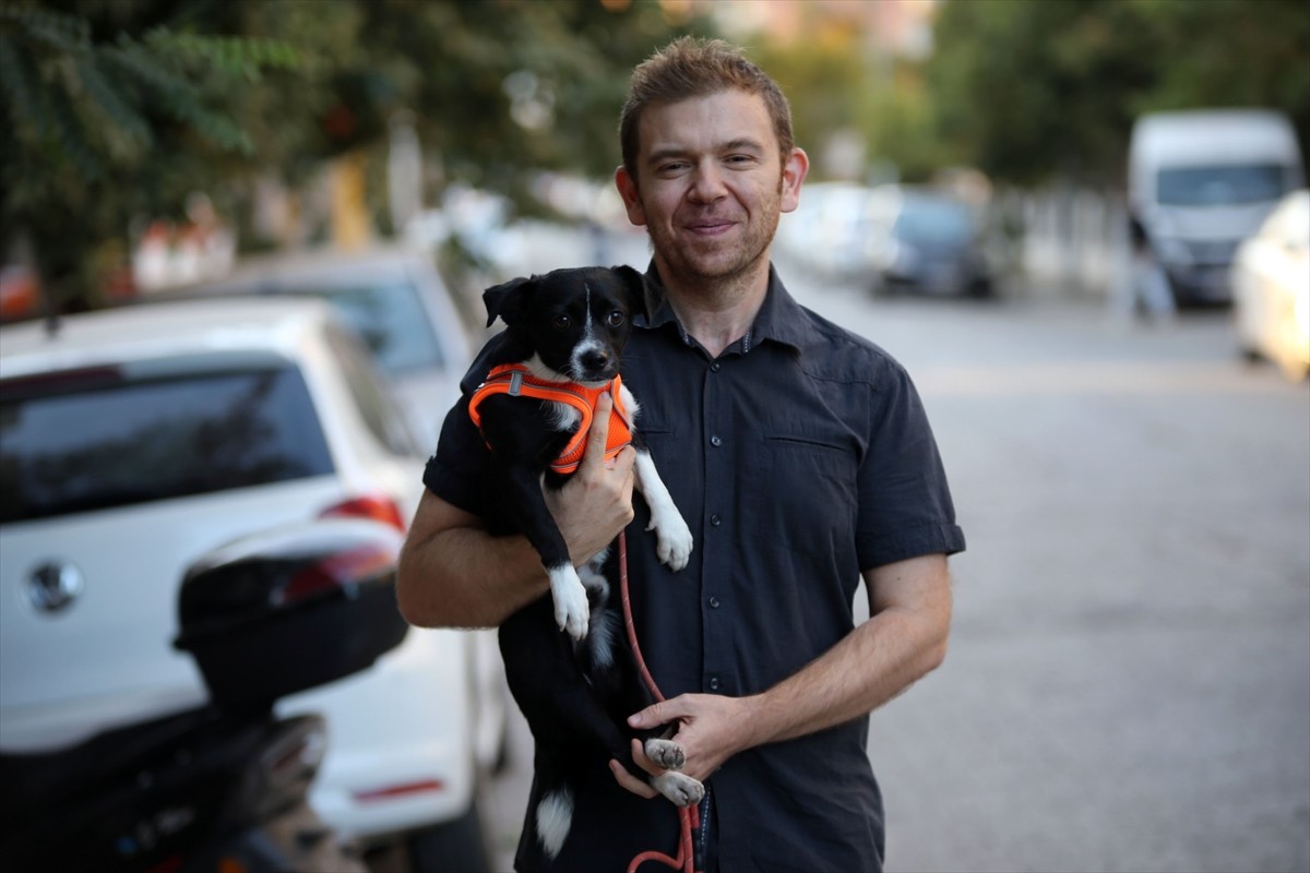 Felçli Köpek Kök Hücre Tedavisiyle Yürümeye Başladı