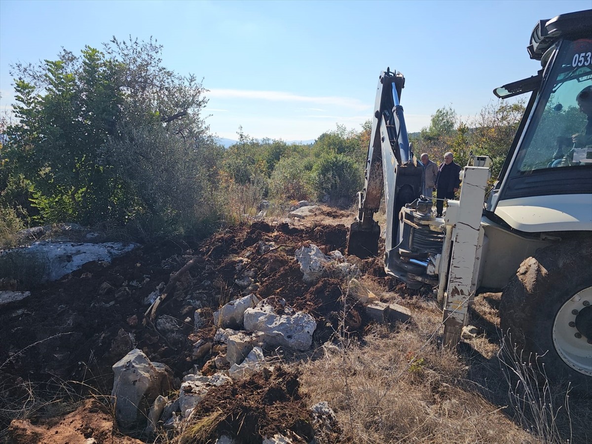 Mersin'de Piliç Üretim Çiftliğinde Tavuk Telefi