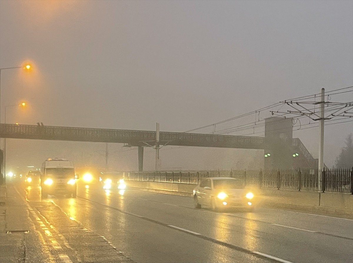 Bursa'da Yoğun Sis Canariası