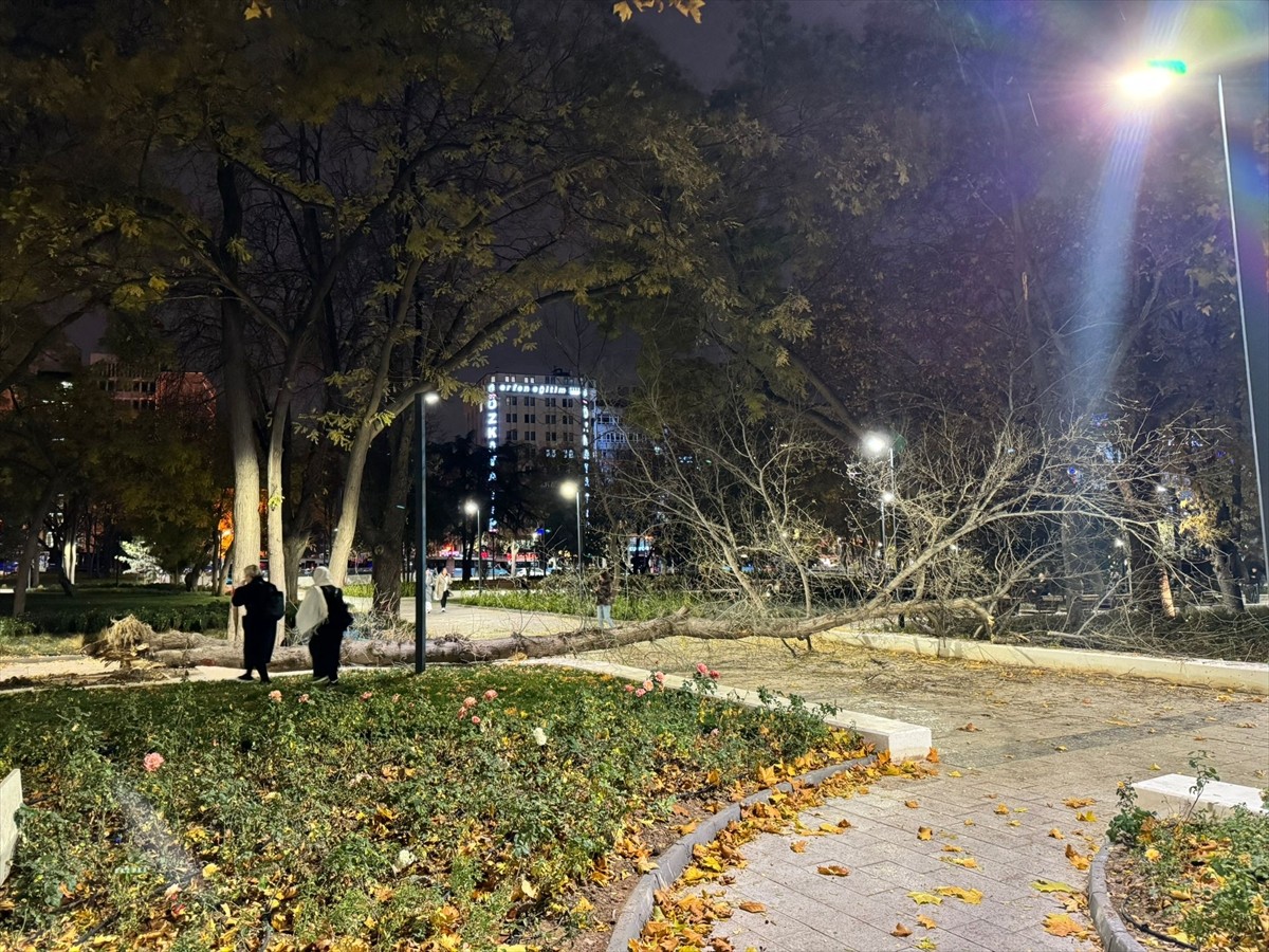 Ankara'da Şiddetli Rüzgar Ağaç Devirdi