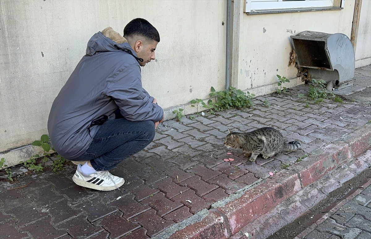 Adana'da Kedi İşçinin Yemeğini Çaldı