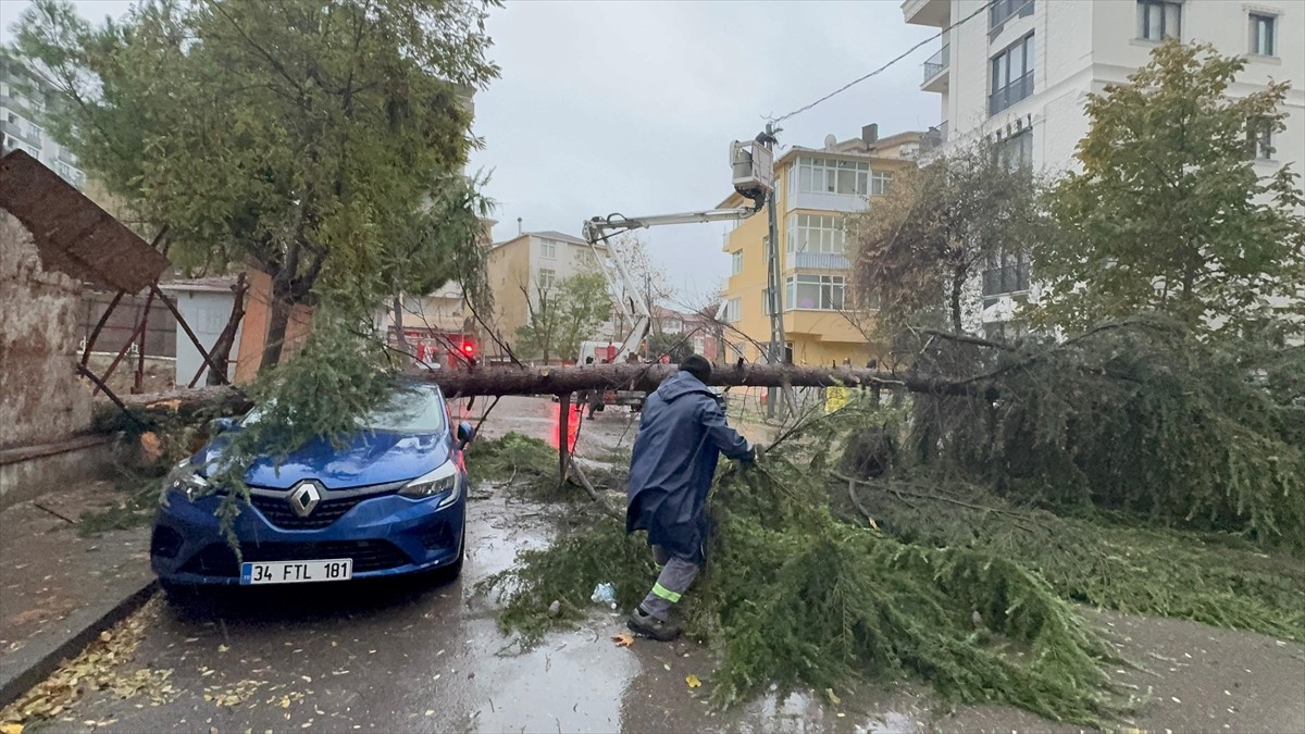 Kartal'da Şiddetli Rüzgar Ağaç Devirtti