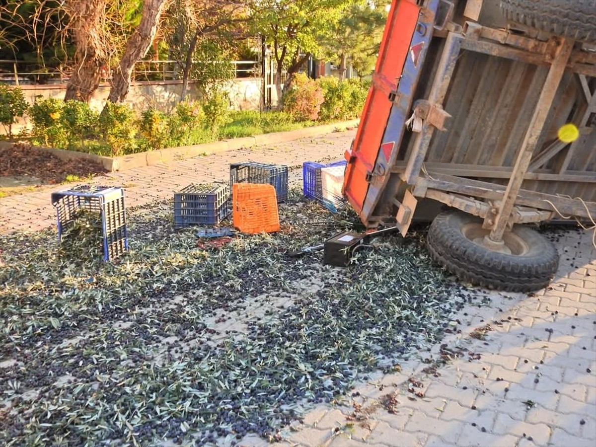 Balıkesir'de Zeytin İşçilerini Taşıyan Traktör Devrildi, 5 Yaralı