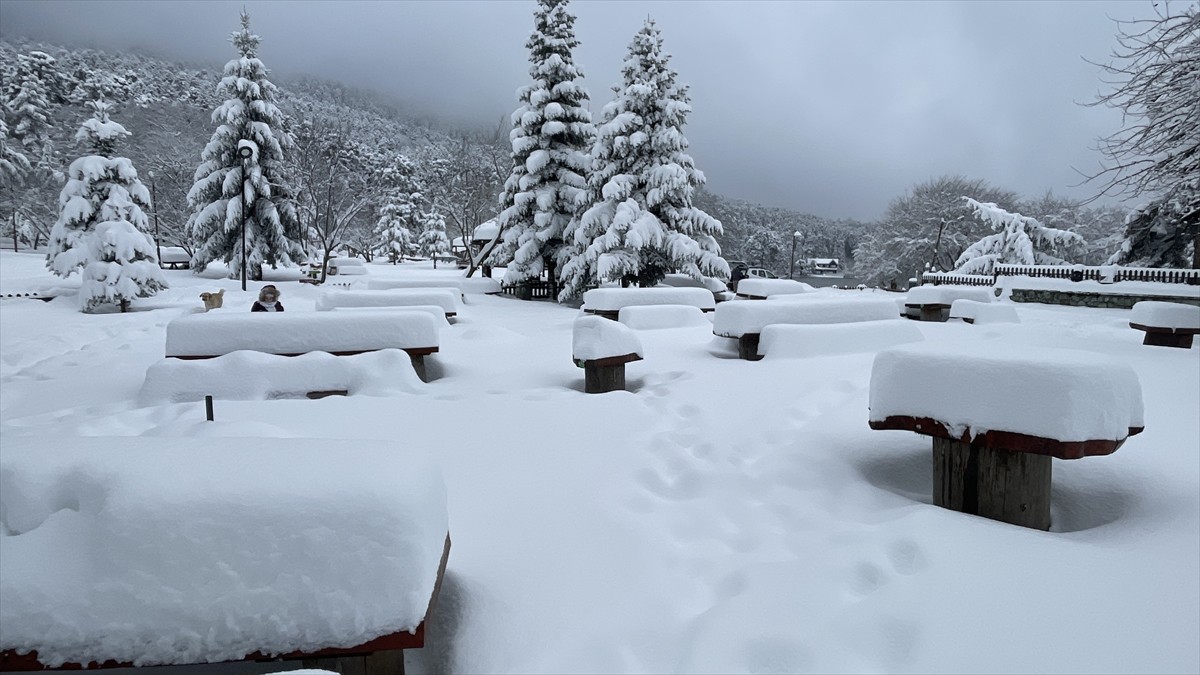 Bolu'da Gölcük Tabiat Parkı Kışın Güzellikleriyle Büyülüyor