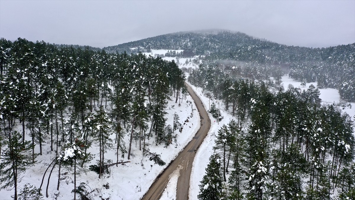 Bolu'da Yılkı Atlarına Destek