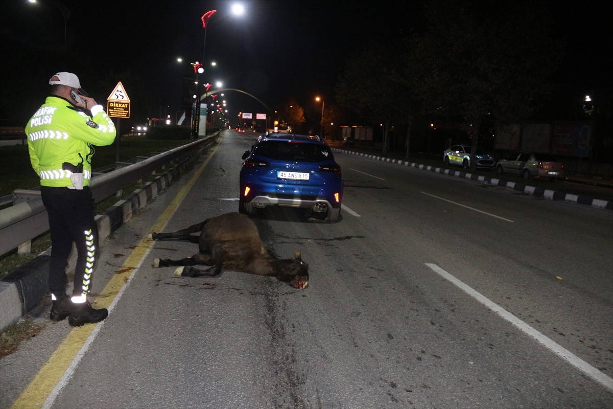 Manisa'da Ata Çarpan Otomobilde 3 Yaralı