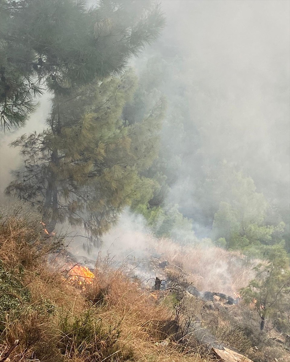 Hatay'daki Orman Yangını Kontrol Altına Alındı