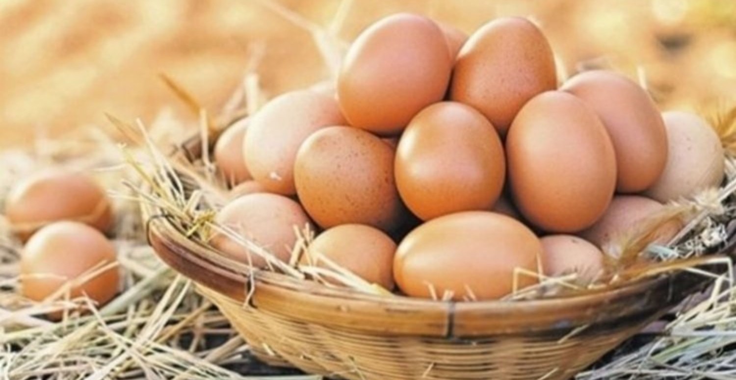 Yumurta fiyatlarına dev zam kapıda