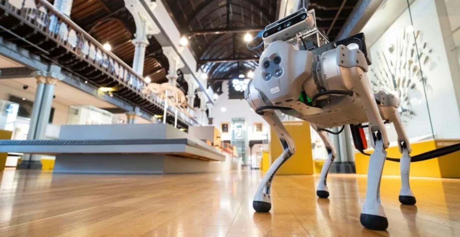 Görme engelli kişilerin hayatını kolaylaştıracak robot köpek!
