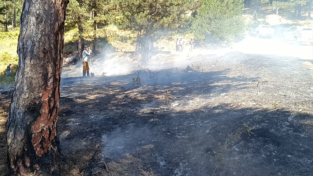 Bilecik'te Orman Yangını Ekiplerin Hızlı Müdahalesiyle Kontrol Altına Alındı