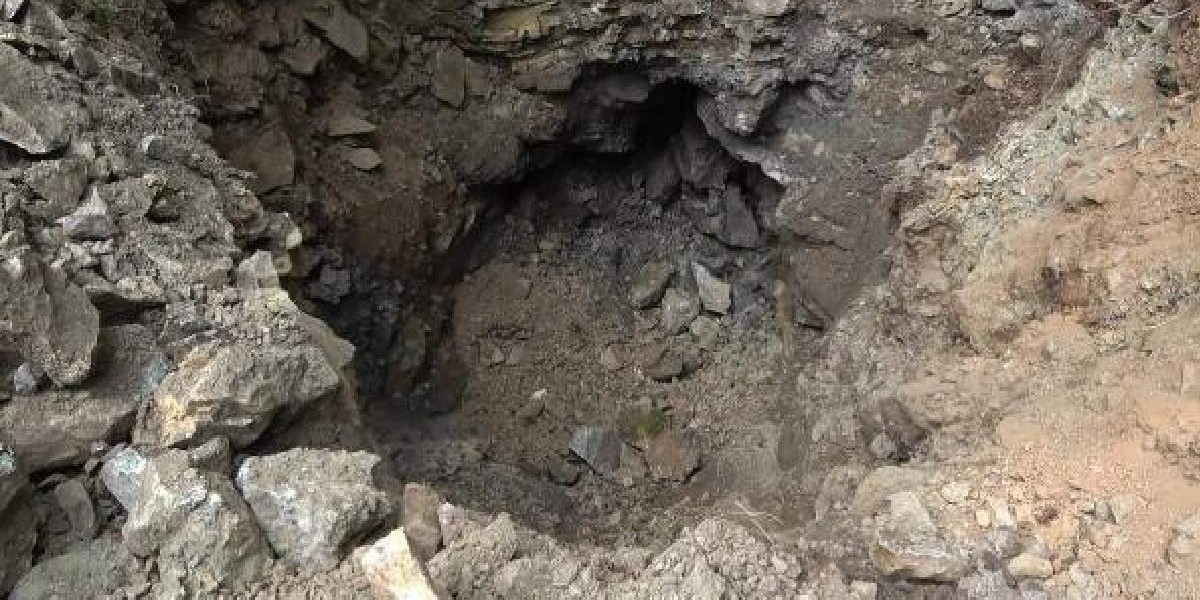 define hayaliyle ormanları mahvettiler