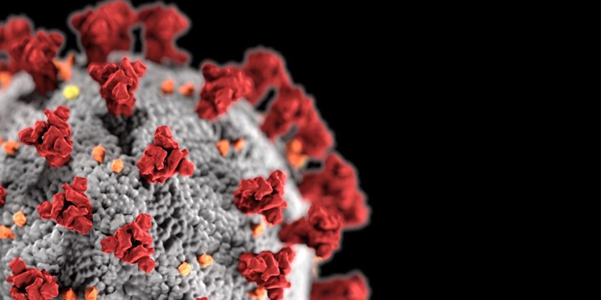 covid olmamanın tek yolu var