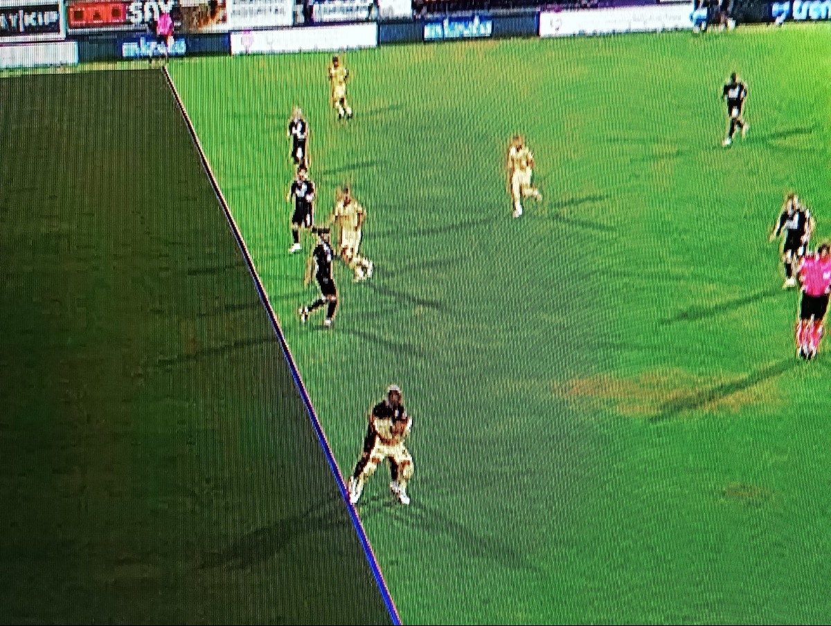 Fenerbahçe'nin Alanyaspor