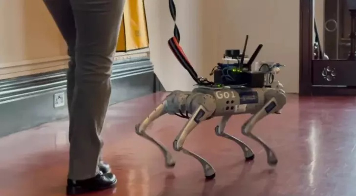 Görme engelli kişilerin hayatını kolaylaştıracak robot köpek