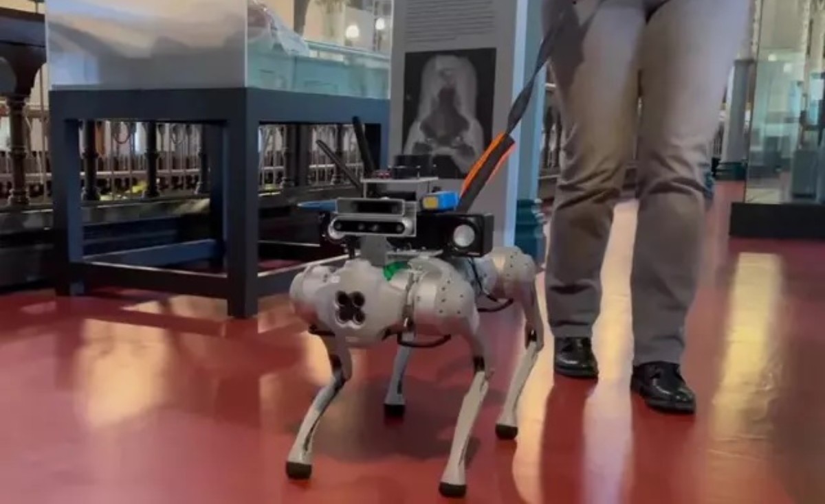 Görme engelli kişilerin hayatını kolaylaştıracak robot köpek