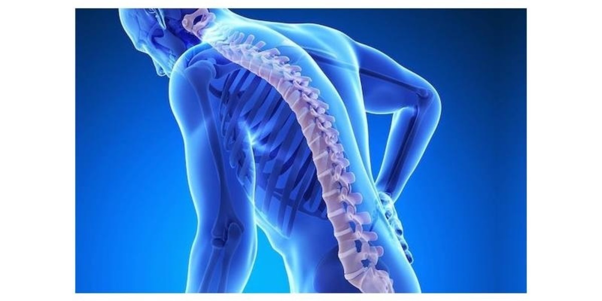 OSTEOPOROZ NEDİR?