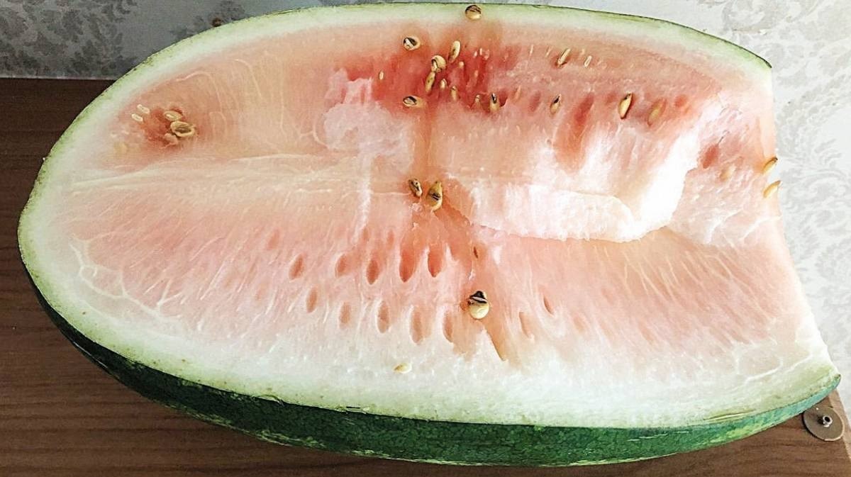 Aldığınız kavun ve karpuz kelek çıkarsa 20 bin TL kazanabilirsiniz