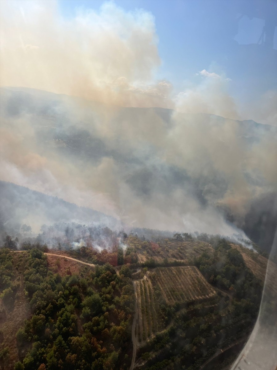 Bursa'nın İznik ilçesinde çıkan orman yangınının söndürülmesi için çalışma...