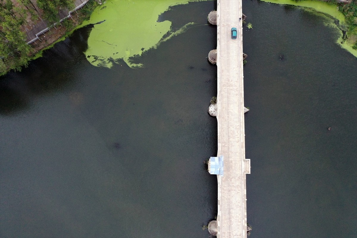 Edirne'nin önemli su kaynaklarından olan Tunca Nehri'nin debisi 2021 yılından beri düşüyor....
