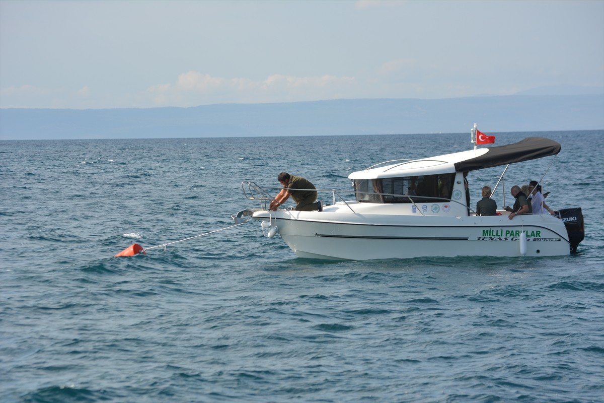 Balıkesir'in Ayvalık ilçesinde yeni yerleştirilen 50 tekne bağlama şamandırasıyla yerel deniz...