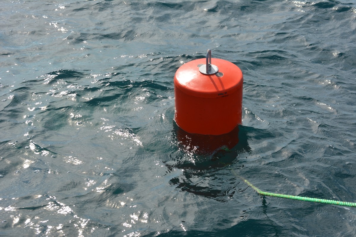 Balıkesir'in Ayvalık ilçesinde yeni yerleştirilen 50 tekne bağlama şamandırasıyla yerel deniz...