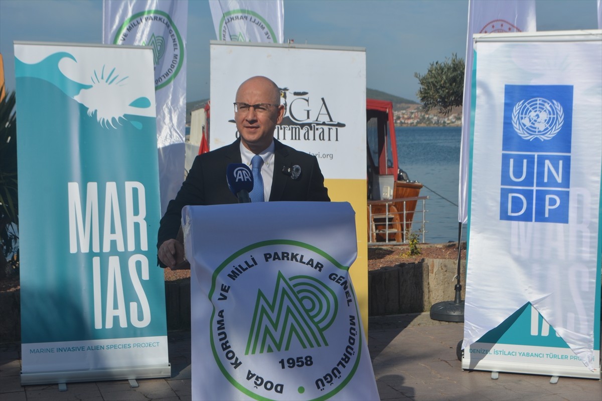 Balıkesir'in Ayvalık ilçesinde yeni yerleştirilen 50 tekne bağlama şamandırasıyla yerel deniz...