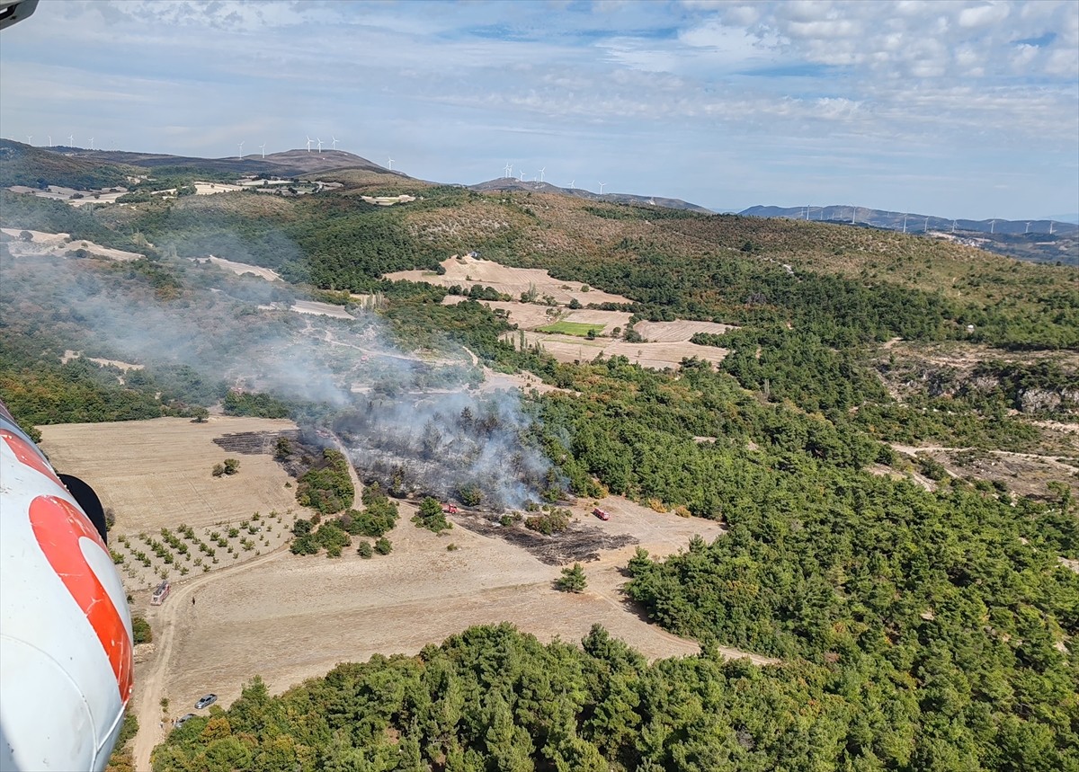 Manisa'nın Kırkağaç ilçesinde tarım arazisinde başlayan ve ormanlık alana sıçrayan yangına havadan...