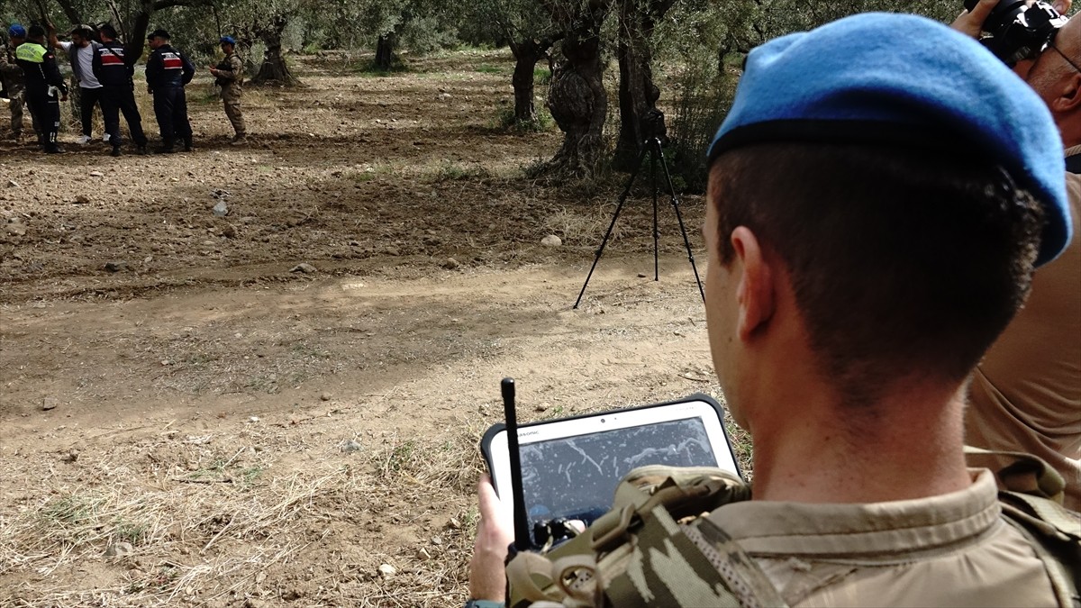 Türkiye'nin zeytinyağı üretiminin yüzde 10'unun karşılandığı Balıkesir'de zeytin hasadının...