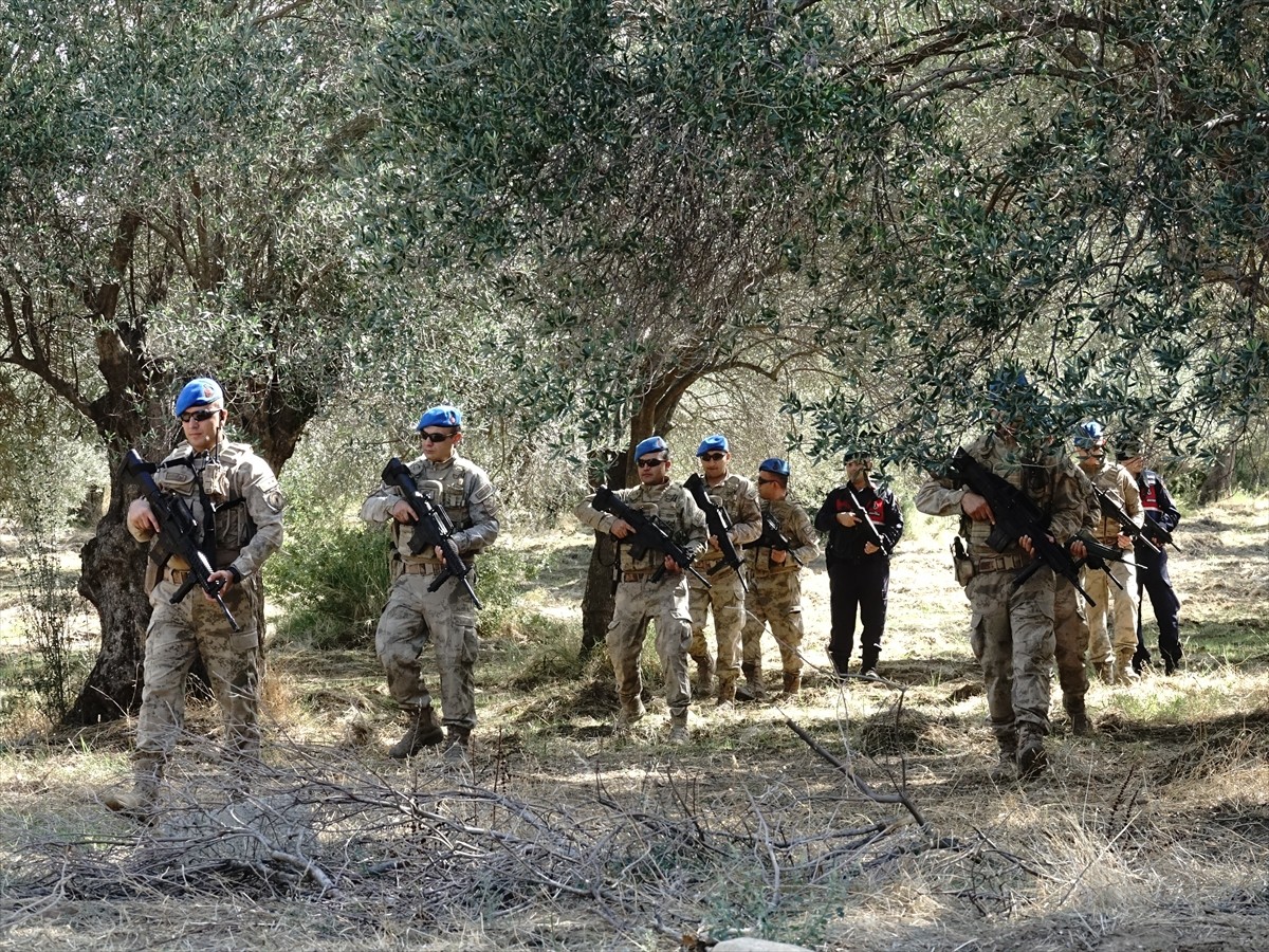 Türkiye'nin zeytinyağı üretiminin yüzde 10'unun karşılandığı Balıkesir'de zeytin hasadının...