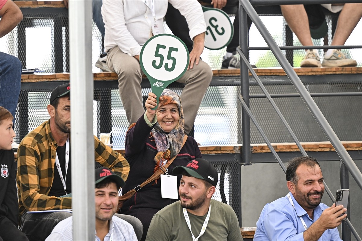 Adana'da büyükbaş hayvan satışındaki çeşitli aracılık masraflarının ortadan kaldırılması ve daha...