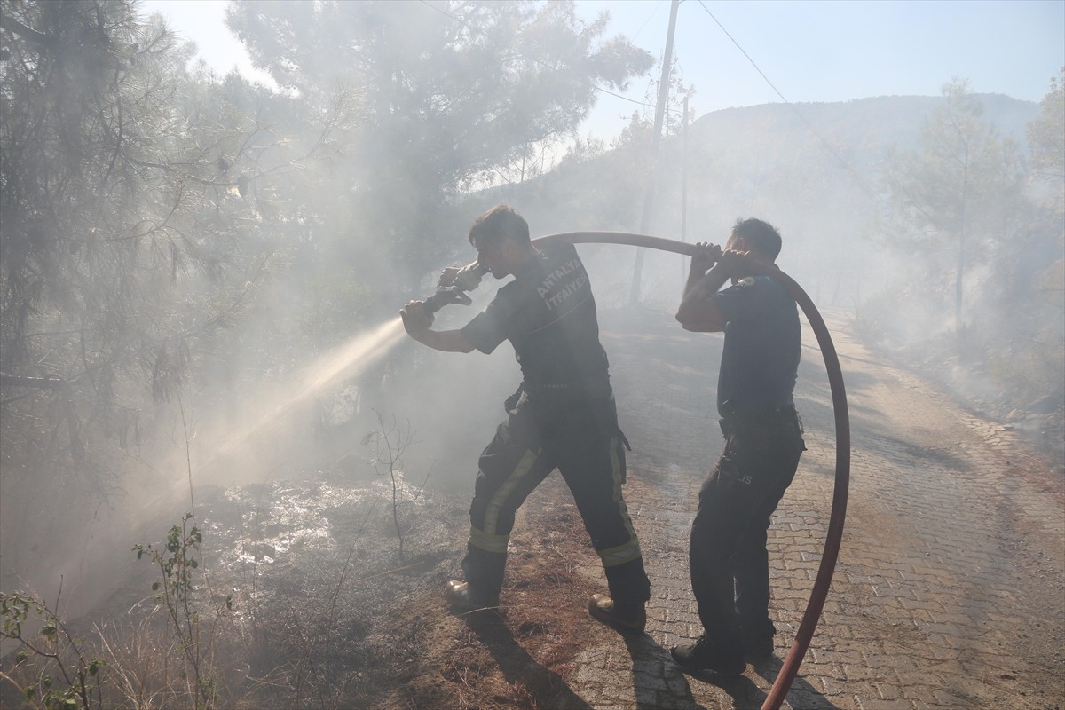 Antalya'nın Alanya ilçesinde çıkan orman yangını kontrol altına alındı.