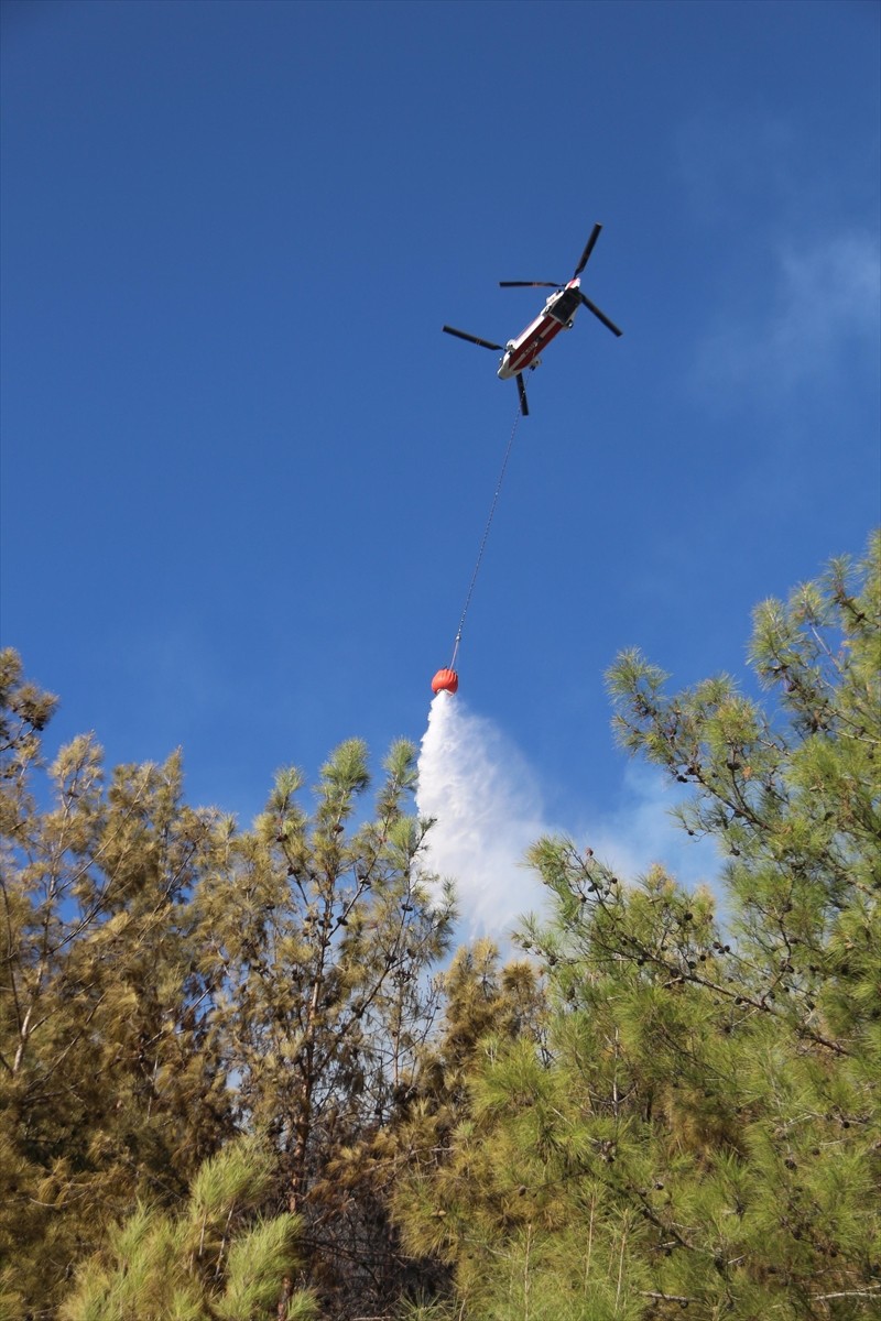 Antalya'nın Alanya ilçesinde çıkan orman yangını kontrol altına alındı.