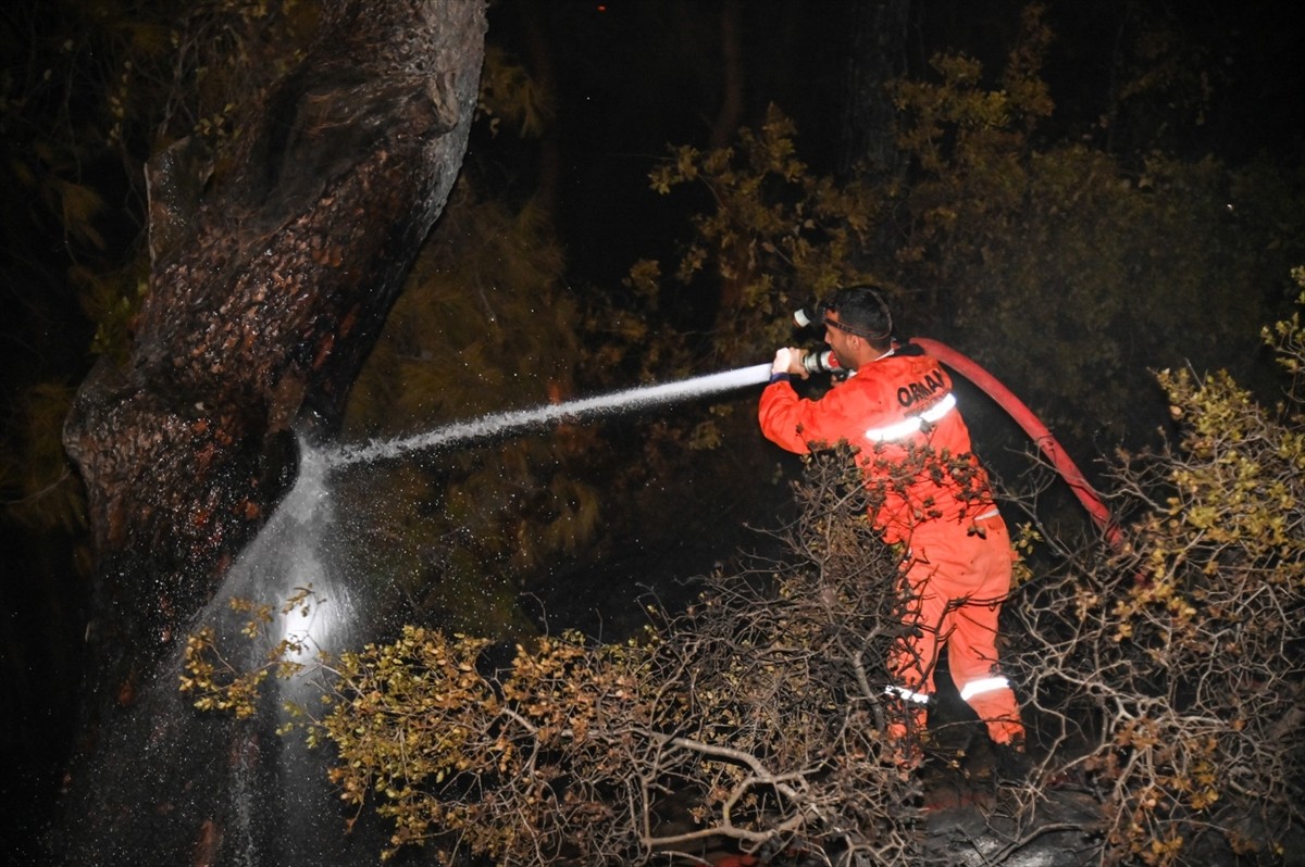 Antalya'nın Manavgat ilçesinde çıkan orman yangını büyümeden söndürüldü.