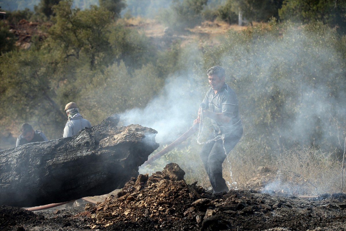 Muğla'nın Menteşe ilçesindeki orman yangınına havadan ve karadan müdahale devam ediyor.