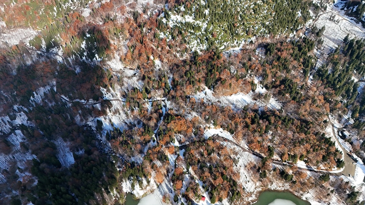 Artvin'in en önemli turizm merkezlerinden Borçka Karagöl Tabiat Parkı, ziyaretçilerini yüzeyi buz...