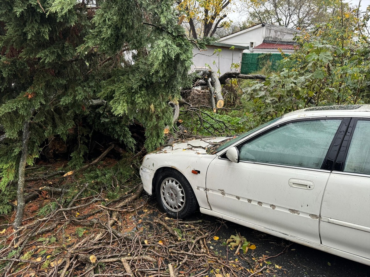 İstanbul'da, etkili olan sağanak ve rüzgar nedeniyle bazı yerlerde ağaçlar yola devrildi...